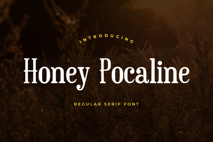 Honey Pocaline Serif Font Download