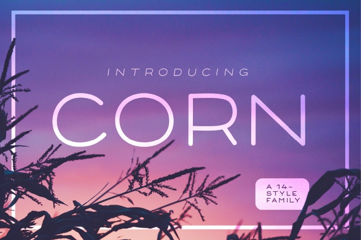 Corn Family - A clean headline family with 14 Styles Font Download