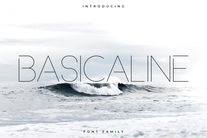Basicaline Font Family - Sans Serif Font Download