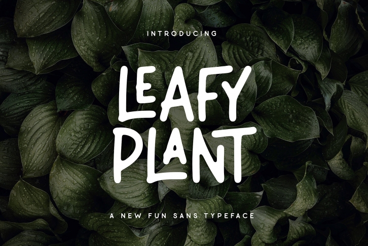 Leafy Plant Typeface Font Download