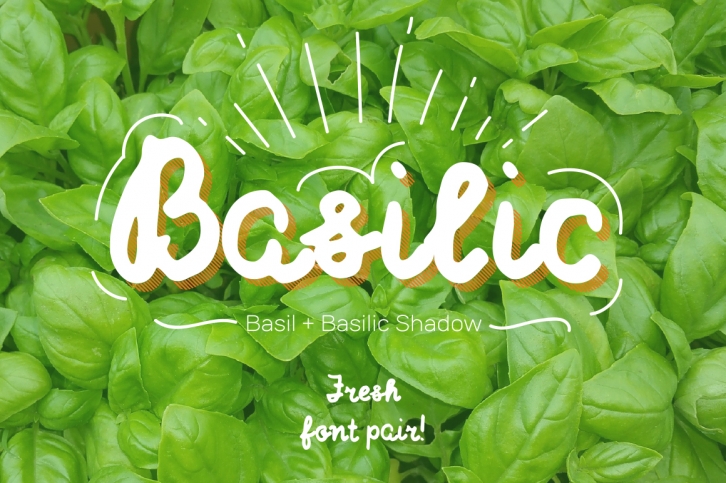 Basilic & Basilic Shadow Font Download