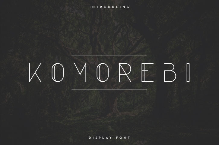 Komorebi Display Font Font Download