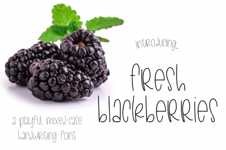 Fresh Blackberries Font Download