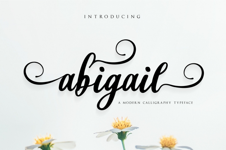 abigail script Font Download