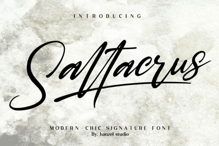 SaltacrusChic Signature Font Font Download