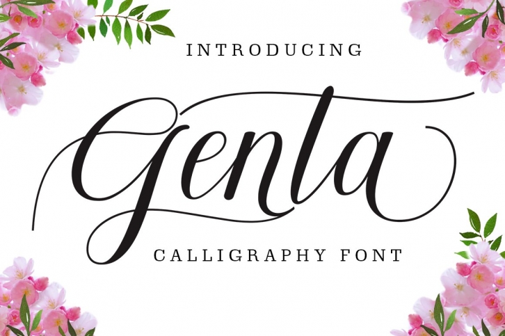 New Genta Font Calligraphy Font Download