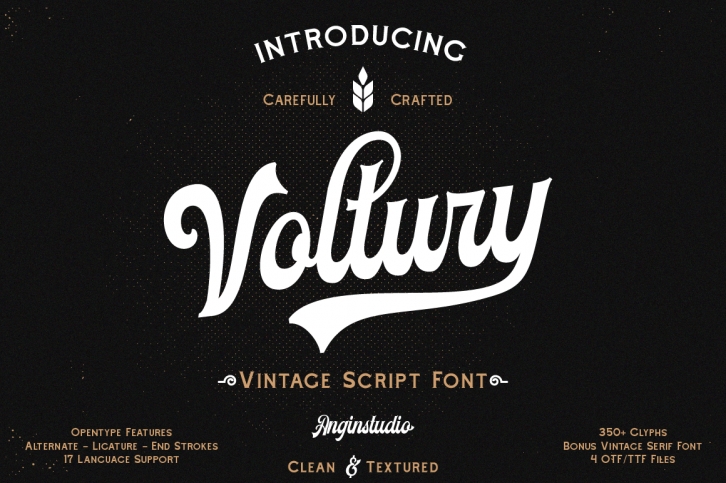 Voltury 4 fonts with extras Font Download
