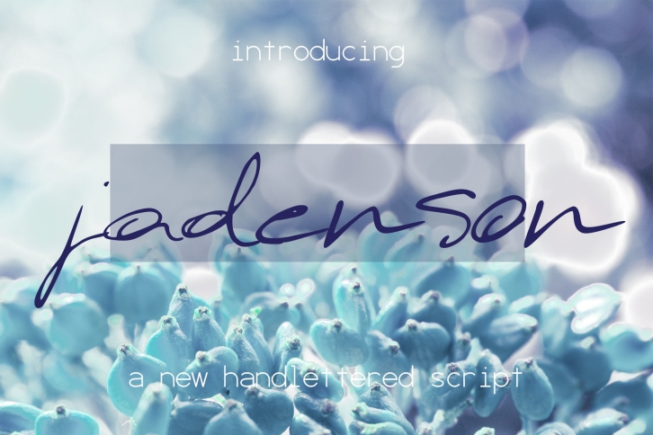 Jadenson Font Font Download