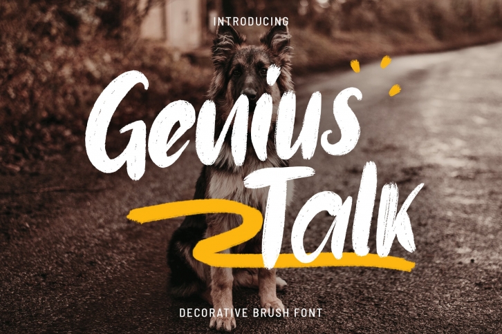Genius Talk Brush Font Font Download