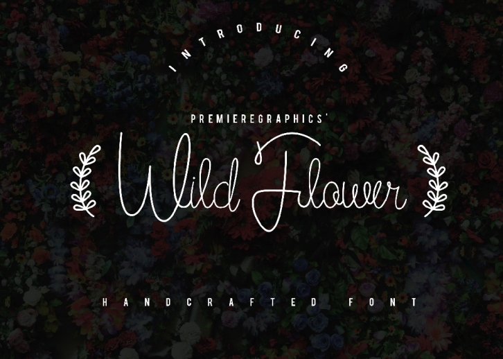 Wild Flower Font Download