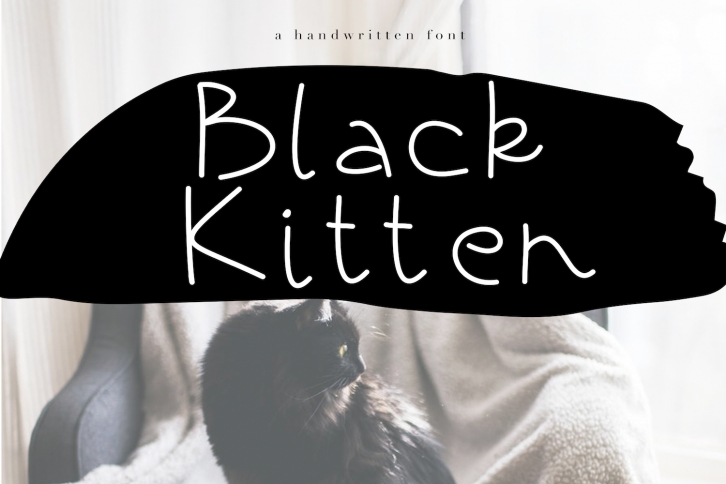 Black Kitten - A Handwritten Font Font Download