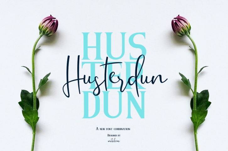 Husterdun Font Duo Font Download