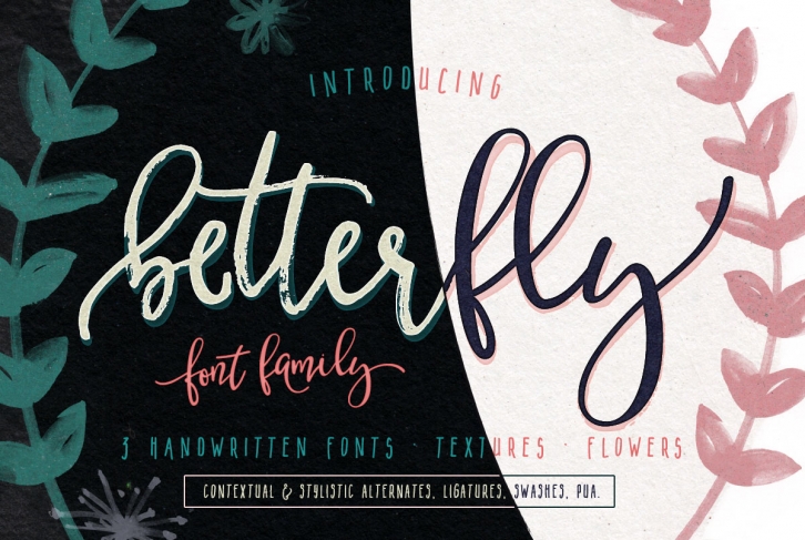BetterFly - 3 modern fonts & swashes Font Download