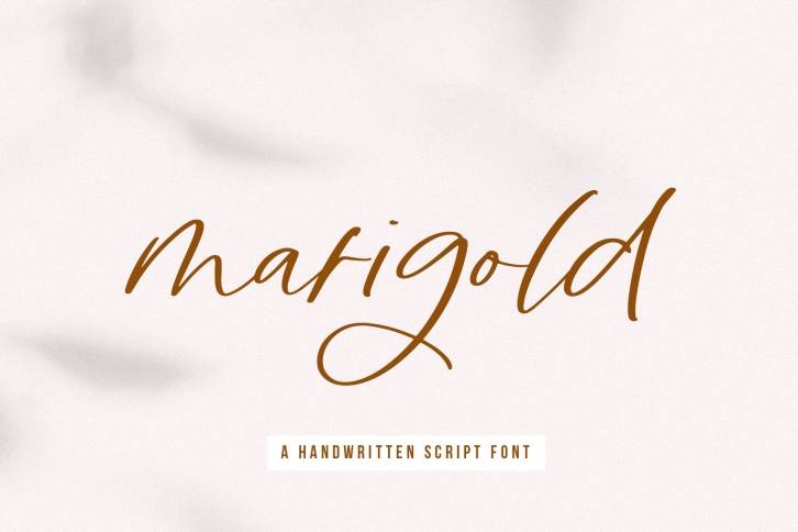 Marigold - A Handwritten Script Font Font Download