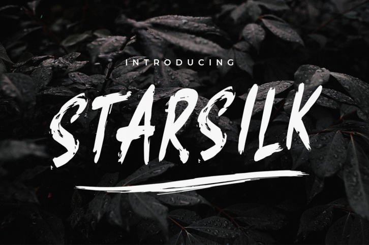 Starsilk Brush Font Font Download