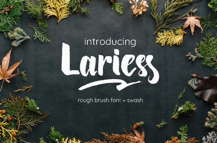 Lariess - Brush Font With Swashes Font Download
