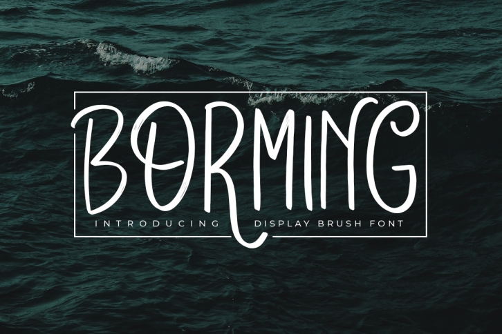 Borming Typeface Font Download
