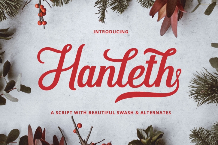 Hanleth Beautiful Script Font Download