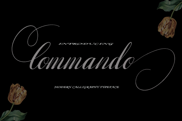 Commando Font Download