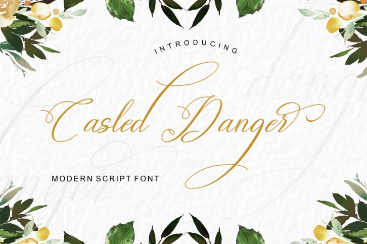 Casled Danger Font Download