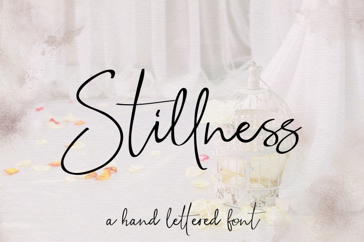 Stillness Script Font Font Download