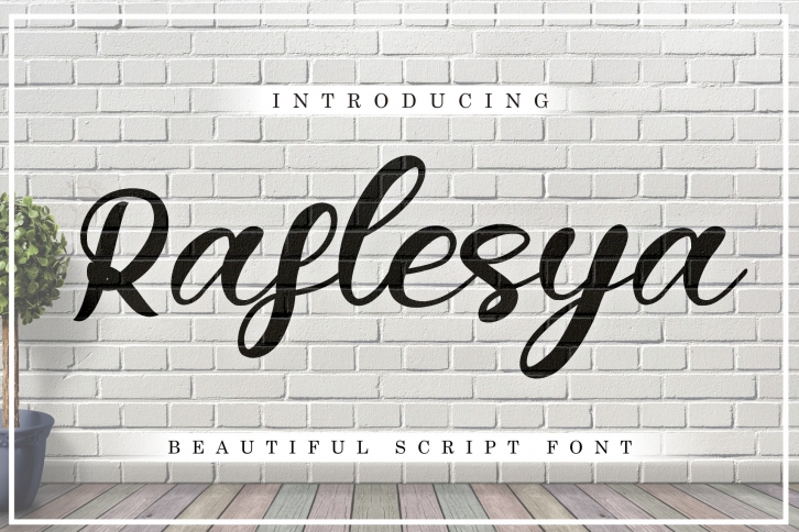 Raflesya modern script Font Download