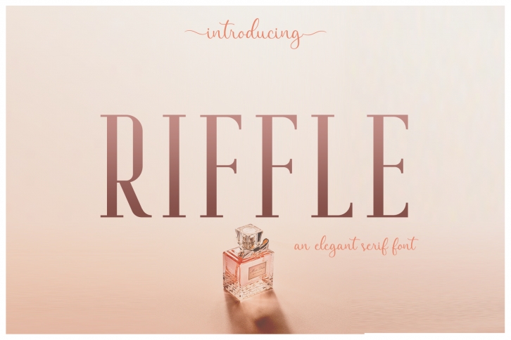 Riffle Font Family Font Download