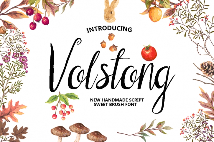 Volstong Script font Font Download