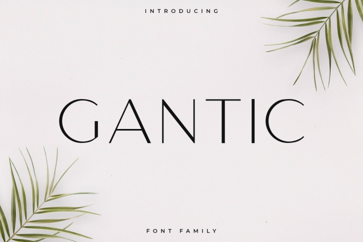 Gantic Font Family - Sans Serif Font Download