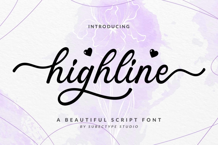 Highline  Beautiful Script Font Font Download