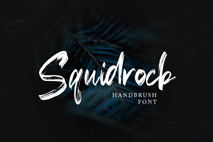 Squidrock - Handbrush Typeface Font Download