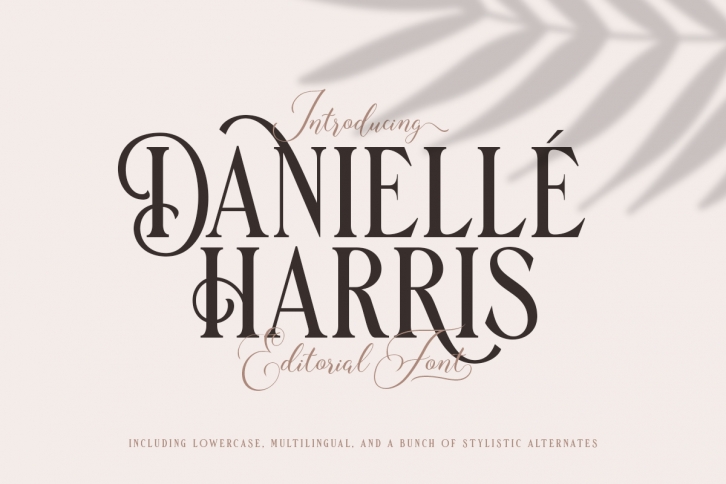 Danielle Harris - Editorial Font Font Download