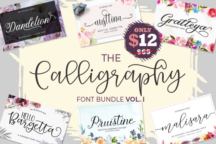 The Calligraphy Font Bundle Font Download