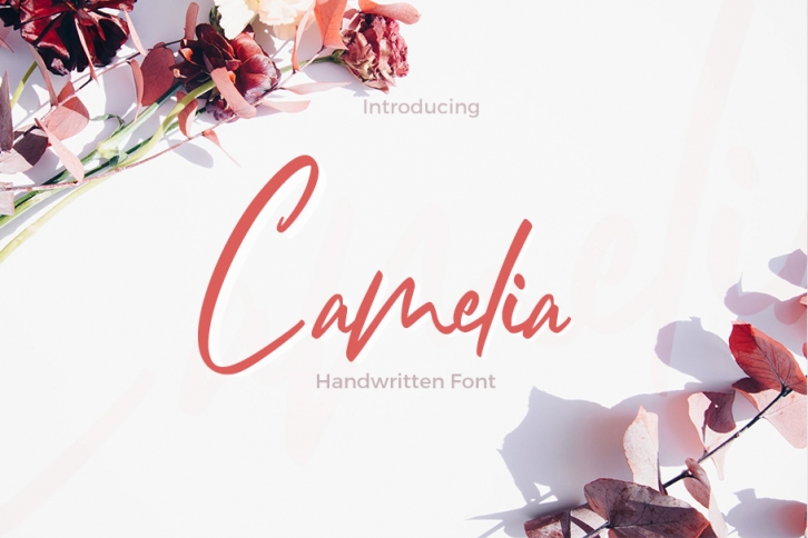 Camelia Font Download