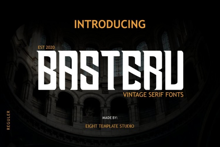 BASTERU - Modern Serif Font Download