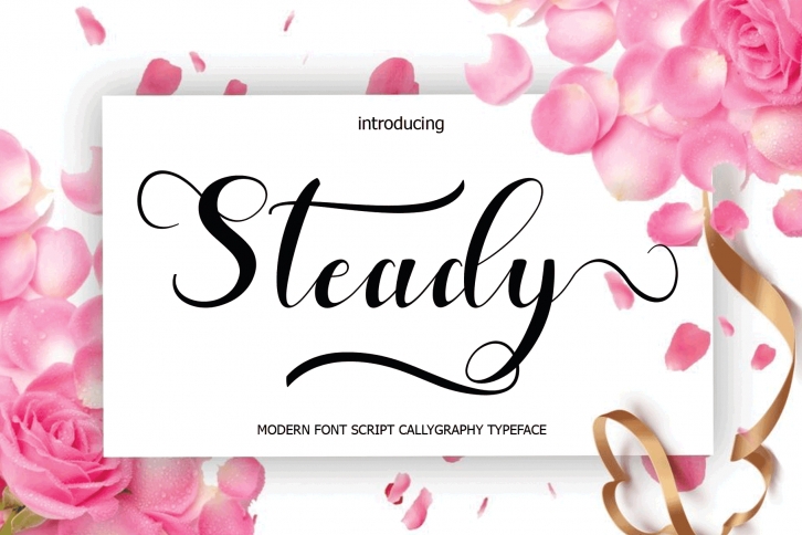 Steady Font Download