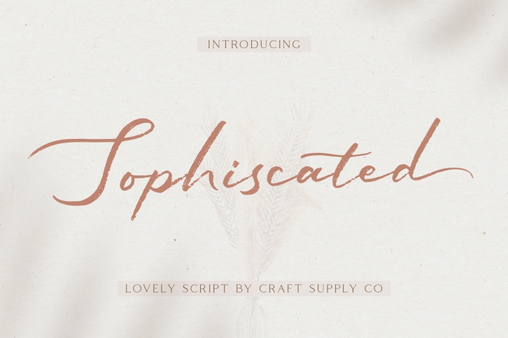 Sophiscated - A Lovely Script Font Font Download