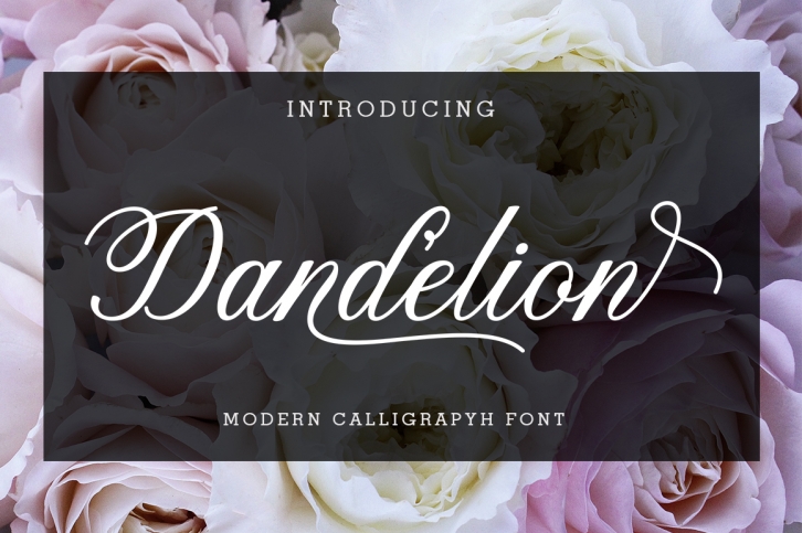 Dandelion Script Font Download