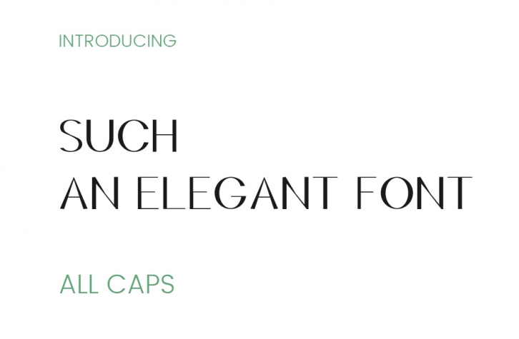 Such an Elegant Font Font Download