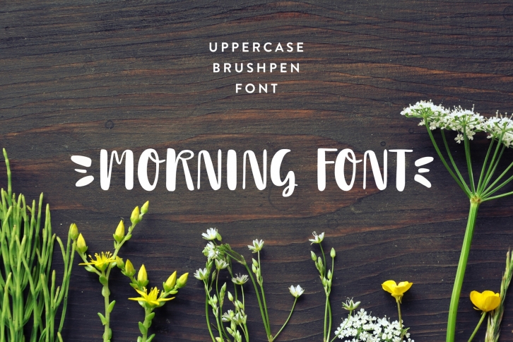 Morning Font Font Download