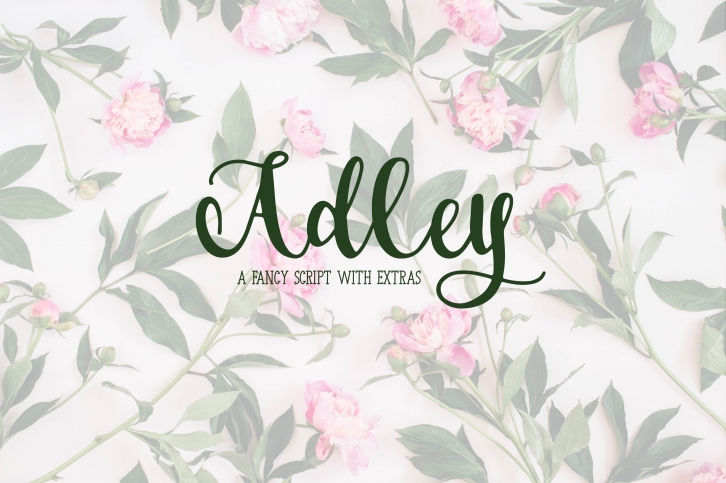 Adley - A Fancy Script Font Download