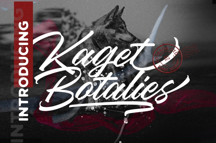 Kaget Botalies Script Font Download