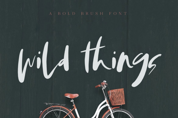 Wild Things Brush Font Font Download