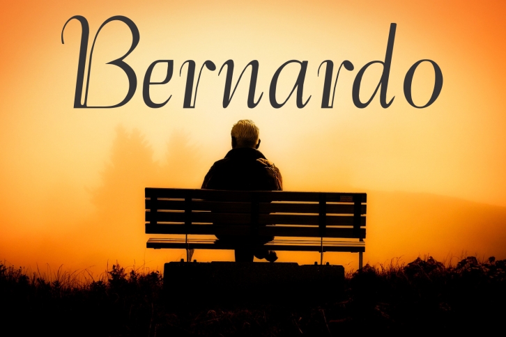 Bernardo (FAMILY PACK PROMOTIONAL) Font Download