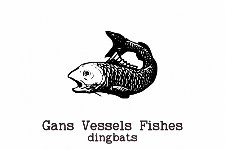 Gans Vessels Fishes Font Download