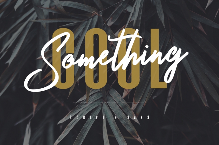 Something Cool - Font Duo Font Download