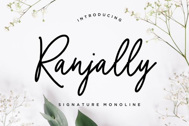 Ranjally Monoline Signature Font Download