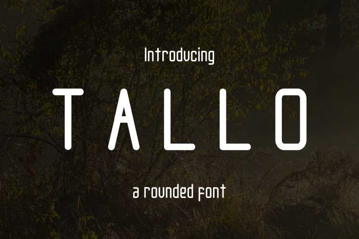 Tallo Font Font Download