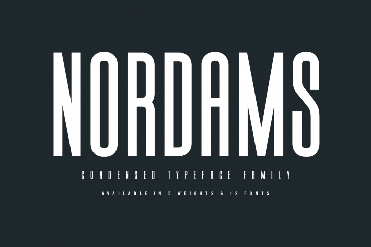 NORDAMS - Sans Serif Font Download