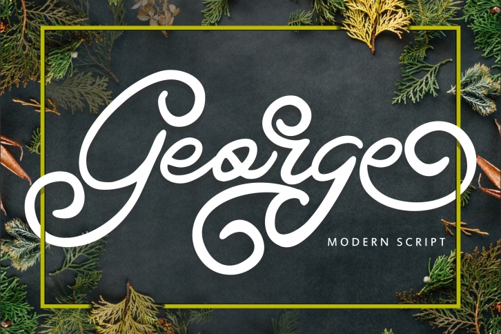 George | Modern Script Font Font Download